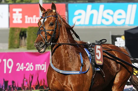 Cyrius d'Ariane juoksusta toissa vuoden Harper Hanoverin lähdössä tuli vaativa, eikä menestystä tullut.