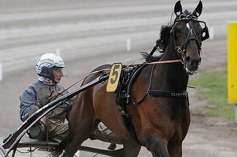 Elian Webilla ja Jorma Kontiolla on loistosauma Elitloppetin 2. karsinnassa, joka päättää sunnuntain Toto75-kierroksen. Peliaika päättyy jo klo 16.00.