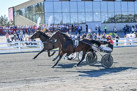 Jolly Roy voitti karsinnan niukasti ennen Effronte Photoa.