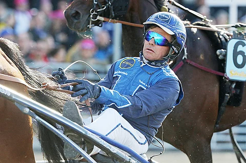 Tuomas Korvenojan ohjastama Brave Dame Vivian aloittaa illan Toto5-kierroksen.