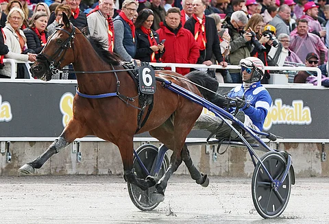 Uza Josselyn oli kuudes Elitloppet-karsinnassa 2019, kärryillä Gabriele Gelormini. Kuva: HU arkisto