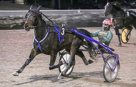 Kuopiossa starttaava Whogonow on kierroksen maistuvin varma.