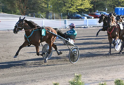 No Vice on illan Toto64-kierroksen herkullisin pelikohde. Kolmevuotiaan ruunan ohjissa on tänään Antti Teivainen, kun vakiokuski Hannu Torvinen on ajokiellossa.