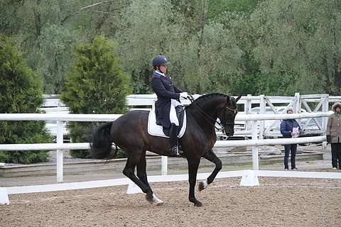 Bøgelys La-Ro Lahassa kesäkuun alussa.