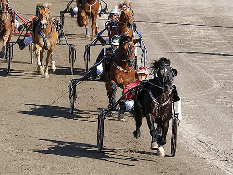 Odd Herakles ja Tom Erik Solberg ovat kilpailleet viisi voittoa putkeen tänä kesänä. Kuva: Rosa Lindholm