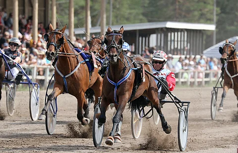 Kokemäellä mainiosti viihtyvä Harri Koivunen hallitsi kolmentuhannen metrin matkaa Shadow Of Brisbanella. Ruuna urakoi uransa 41. voiton helposti.