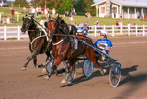 Vuonna 2019 Hachiko de Veluwe kävi ensin voittamassa Suur-Hollola-ajon alkuerän (josta kuva) ja sen jälkeen peräkkäisinä päivinä ajetut välierän ja finaalin. Kuva: Iita-Maria Ahtiainen.