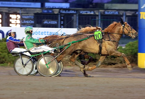 Arto Hammarin ohjastama Sheikki hakee Vermosta kauden neljättä ykkössijaansa.
