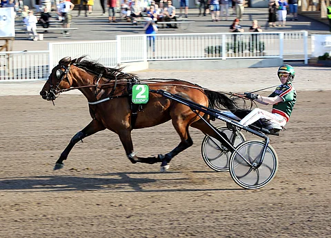 Jukka Torvisen ajokki Her Royal Highness kirmasi tammalähdön parhaaksi.