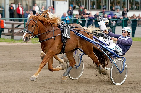 Mikko Niemistöllä oli aihetta tuuletukseen.