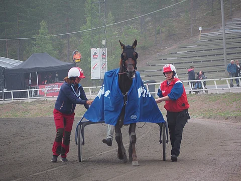 Hannu Torvisen ajama Majestic Man voitti perjantai-illan avauskohteen yllättäjänä.