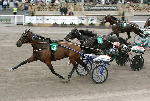 One Break Brolinen varaan on hyvä rakentaa pelit.