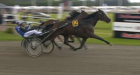 Nopein Stochampionatetin loppusuoralla oli Carl Johan Jepsonin ajama Activated. (Kuva: ATG Live)