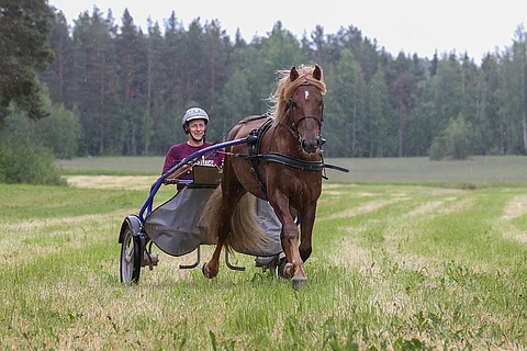 Parvelan Retu ja Petri Laine kotimaisemissa Oriveden Eräjärvellä. Kuva Anu Leppänen.