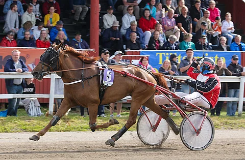 R.R. Valssitar siirtyi siitokseen.