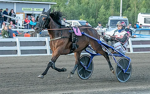 Ensimmäisellä takasuoralla johtoon edennyt Selmer I.H. jätti muut kauas taakseen.
