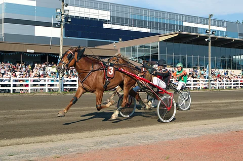 Tähen Toivomus puolustaa kahden vuoden takaista Suurmestaruuttaan Mikkelissä radalta 5. Tuolloinen kakkonen Polara starttaa nyt ykkösnumerolla.