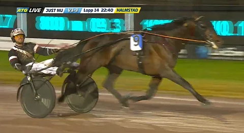 Tae Kwon Deon ylivoimaa. Kuva: ATG Live