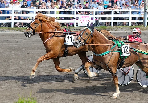 Vixeli runttasi niukasti ohi urhoollisesti taistelleen Sippimiehen.