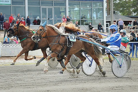 Esa Holopaisen ajama Svartsjöfax voitti aika varmasti ennen perässään tullutta Erehystä ja uloimpaa lujaa kirinyttä Jumiinia.