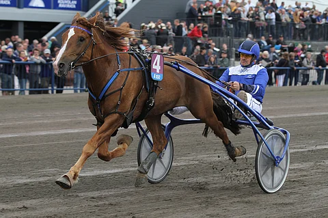 Välähdys. Kuva: Roosa Lindholm