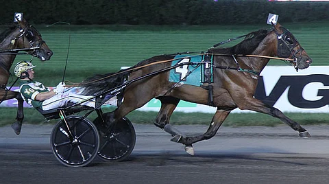 Synergy voitti karsintalähtönsä suureen 2-vuotiskilpailuun Peter Haughton memorialiin. Kuva Michael Lisa