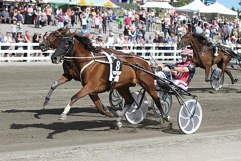 Suur-Hollola-viikonloppuun odotetaan taas tuttua yleisömerta, kun rajoitukset höllentyivät. Kuva: Roosa Lindholm