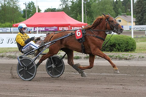 Rupeltaja starttaa suosikkina kylmäverikohteessa.