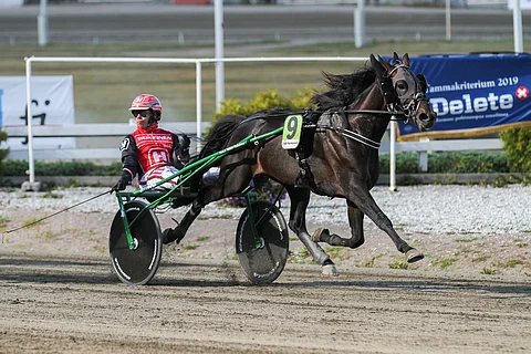 Shotproof hakee tänään kauden avausvoittoaan.