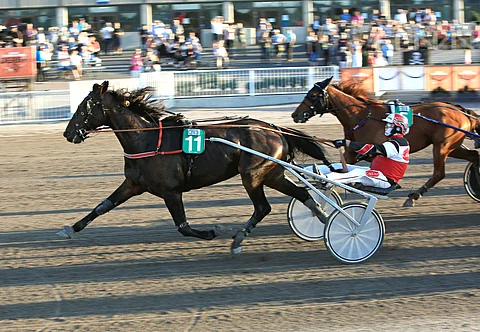 Grainfield Aiden oli selityksittä paras Toto64-avauskohteessa.