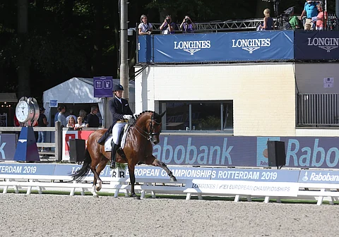 Henri Ruoste ja Rossetti raivasivat tiensä kouluratsastuksen EM-finaaliin.