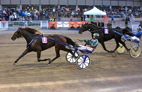 Peanuts on Villinmiehen Tammakilvan niukka suosikki.