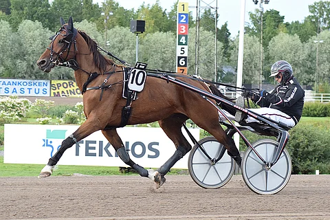 Piquant Stride pystyy illalla voittoon.