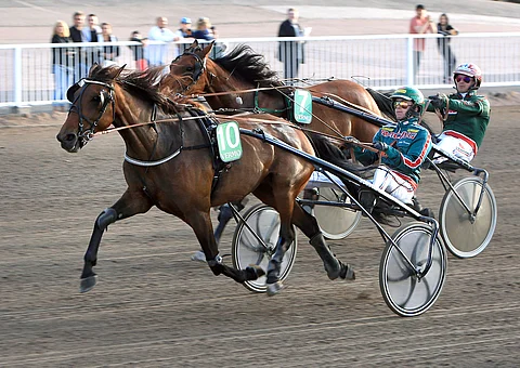 Jukka Torvisen kuskaama Her Royal Highness ei jättänyt Tammatähdessä sijaa jossitteluille.