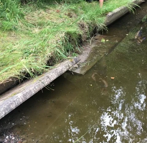 Hevonen kuoli Hyvinkäällä ratsastuskilpailuiden yhteydessä