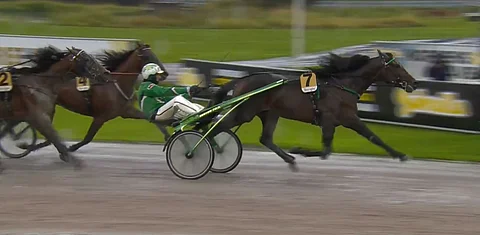 Toisen kerran: Se on siinä! Graceful Swamp pitää muut helposti takanaan. Kuva: ATG Live