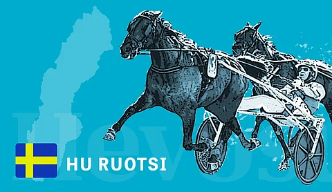 Syyskuu on vilkasta varsahuutokauppojen aikaa Ruotsissa, enemmistö niistä pidetään yhä netissä.