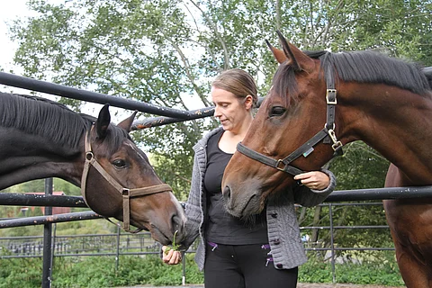 Hanne-Mari Kiuttu, Timotheé SN ja Chérubin.