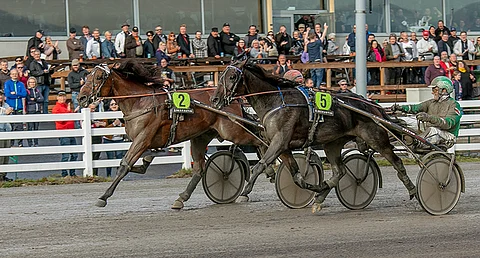 Santtu Raitalan ajama Raskolnikov Frido tavoitti karkumatkaa yrittäneen Sahara Peyoten/Ari Moilanen ajoissa.