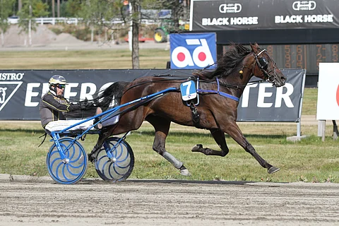 Hamlet Star valitaan varmaksi Oulun kohteista.