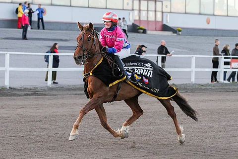 Liisa Nummi voitti viime syksynä PM-montén. Komento oli Nummen voittoisa ajokki.