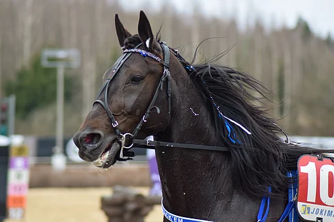 Hijack'em pinnisti keulavoittoon.