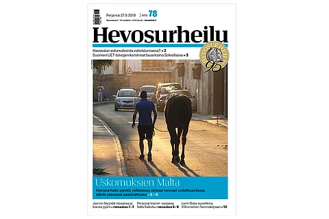 Yleensä Maltalle vietyjen hevosten käyttöikä on myyntimaiden mittapuiden mukaan ohi. Kannen kuva: Ville Toivonen.