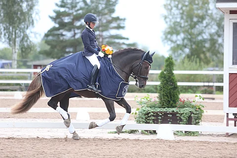 Kulta-ahon Kasimirille Kelmi Kür.