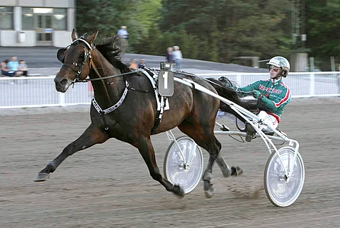 Riviin mahtuu tällä kertaa kaksi varmaa ja ensimmäinen niistä on kuvan Grainfield Oliver. 9-vuotias ruuna pääsee starttamaan pienelle, kahden poisjäännin myötä vain kuuden hevosen mailille radalta 1. Ruunaa ohjastaa tänään Olli Koivunen.