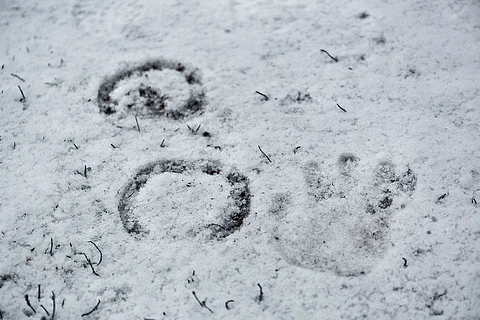 Kauhavalla paljastui viime viikolla, että hevosia on kohdeltu kaltoin.