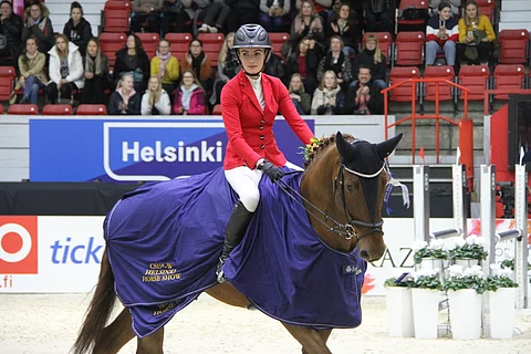 A D Reed on kannanilaisen ESH-kantakirjaan merkityn oriin jälkeläinen.