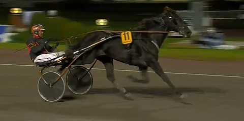 Milliondollarrhyme tykitti loppusuoraa omaa vauhtiaan. Kuva: ATG Live