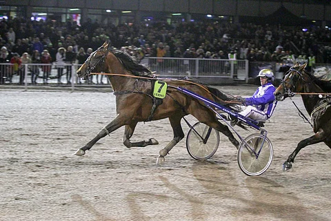 Ecurie D voitti 3-vuotiaiden EM-kisan Vermossa. Kuva: Roosa Lindholm