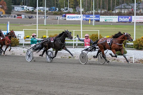 Raskolnikov Frido jatkaa viikon starttivälillä voitokkaasta kriteriumista 3-vuotiaiden EM:ään. Kuva: Roosa Lindholm.